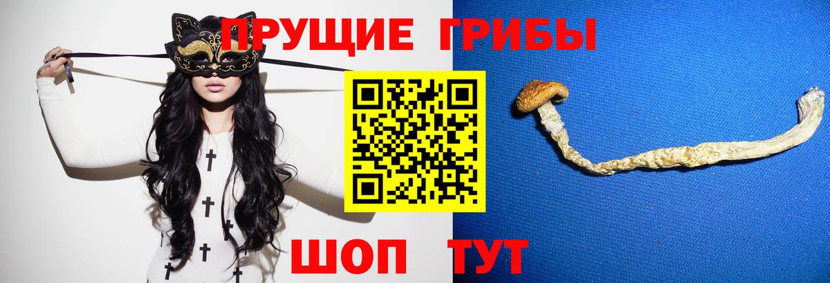 Псилоцибиновые грибы Cubensis  Вход с VPN  Курчатов  Галлюциногенные грибы Cubensis 
