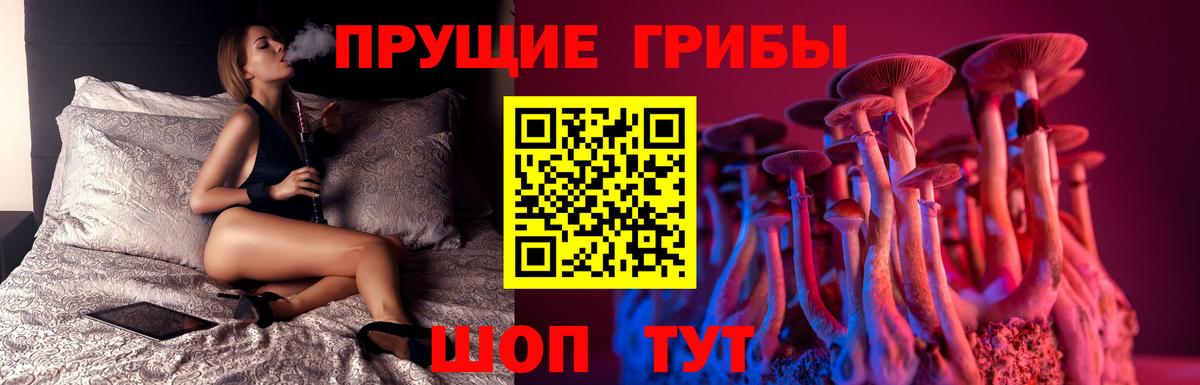 Галлюциногенные грибы мицелий Курчатов